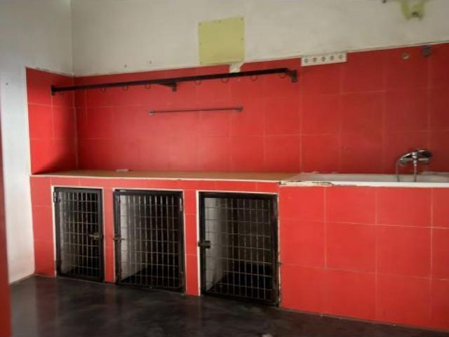 Estupendo local en zona comercial en el Infante