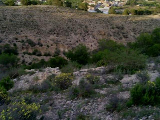 ESTUPENDO TERRENO URBANO