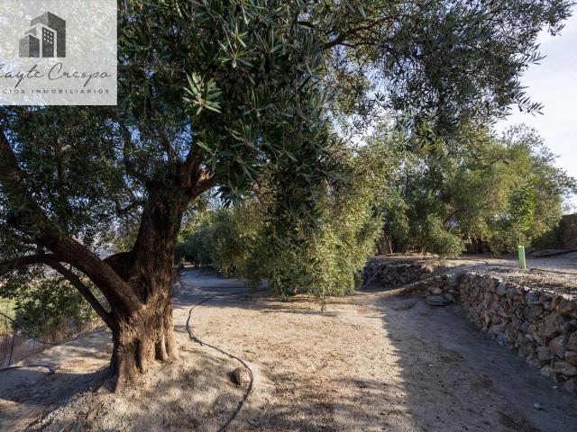 ESTUPENDA FINCA RUSTICA EN PINOS DEL VALLE