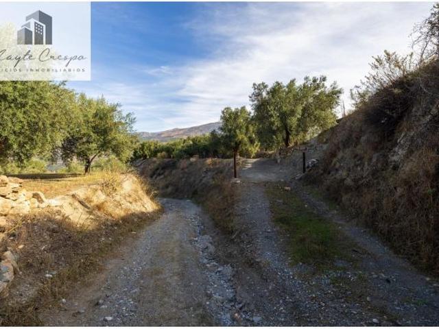 ESTUPENDA FINCA RUSTICA EN PINOS DEL VALLE