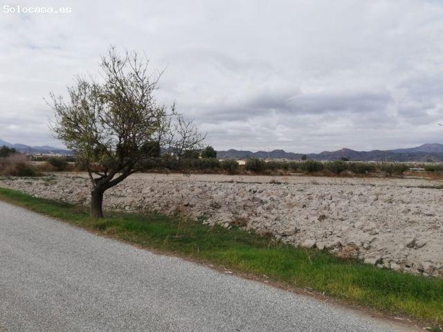ESTUPENDA PARCELA EN EL ESPARRAGAL PARA CONSTRUCCION DE VIVIENDA