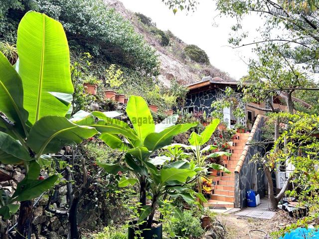 Esta finca está considerada como el huerto más grande de La. 98m² Vallehermoso