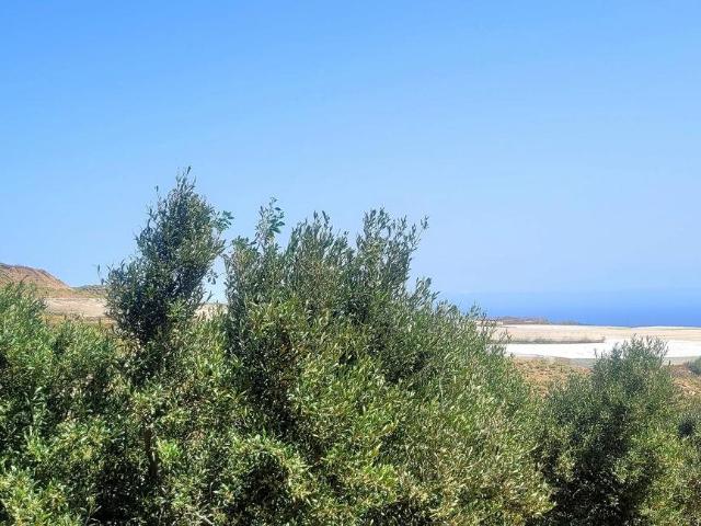 Esta finca está dividida en dos parcelas y se encuentra just. m² Villa de Arico