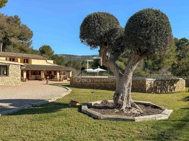 Esta vivienda rústica bellamente restaurada ofrece comodidad. 312m² Calvià