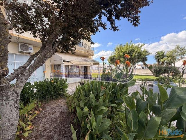 Estabelecimento Comercial no Porto Alto PALT417 | 26084099096