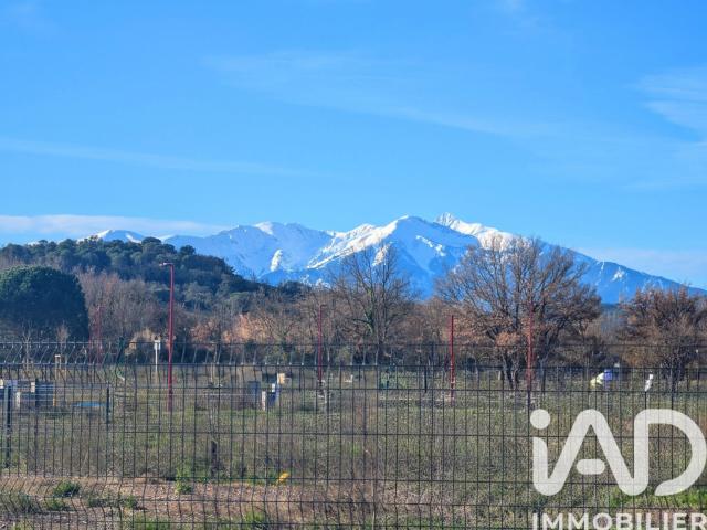 Estagel Vente Terrain 66