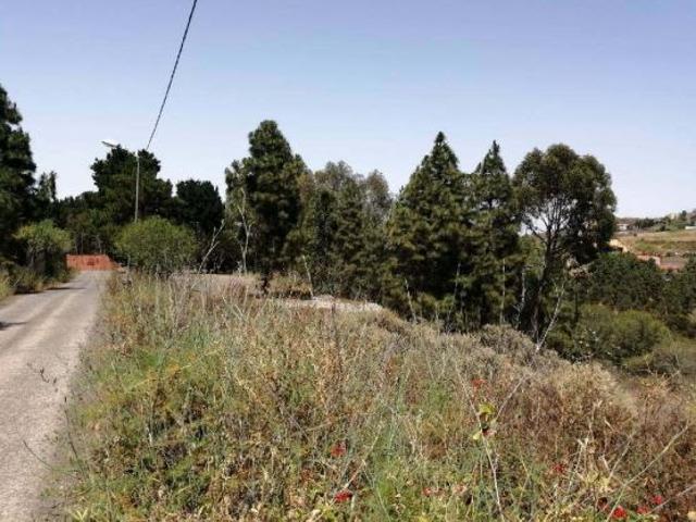 Estanque cueva suelo rústico en C/ Lomo Obrero, Firgas Las Palmas