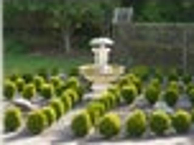 Disregard CV and other estimated Values