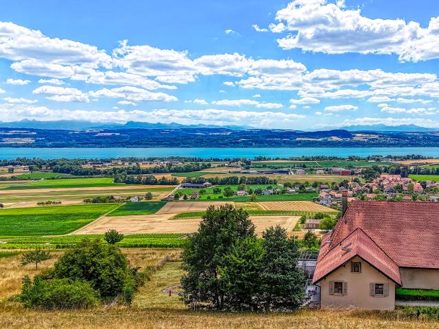 Estate with 8 rooms on sale in Champagne 703 m² | dreamo. Ch
