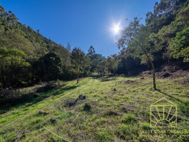 Este não é um lugar que se encontra por acaso, mas sim um lo. 122m² Monchique