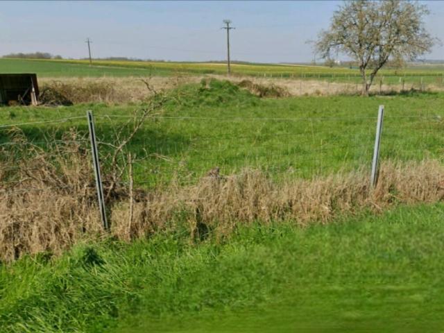 Esternay Vente Terrain 51