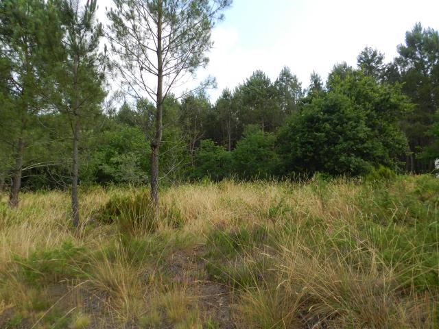 Estigarde Vente Terrain 40