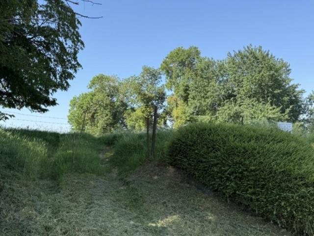 Estourmel Vente Terrain 59