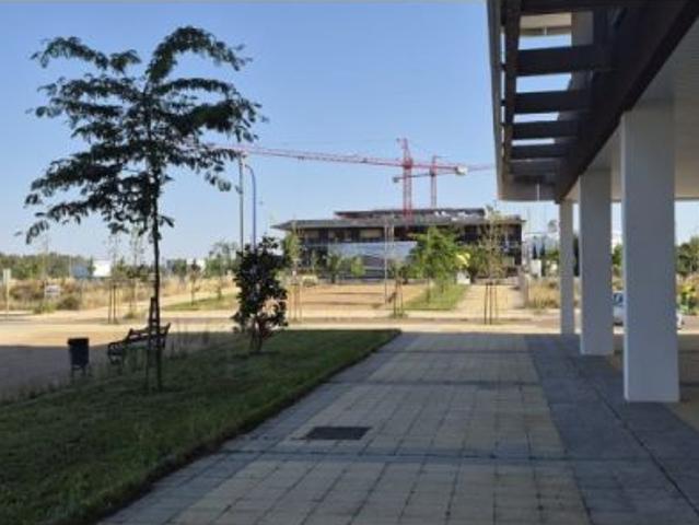 Estrena apartamento de 1 dormitorio en alquiler en Avenida Elvas, Badajoz