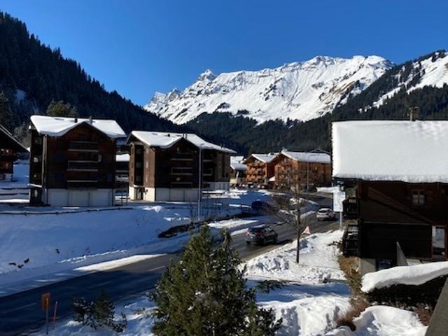 Epervier 23