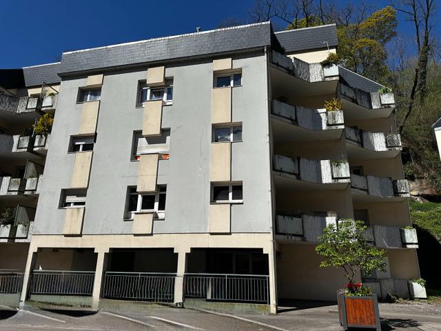 Épinal Vente Appartement 88