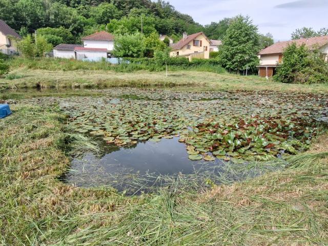 Épinal Vente Terrain 88