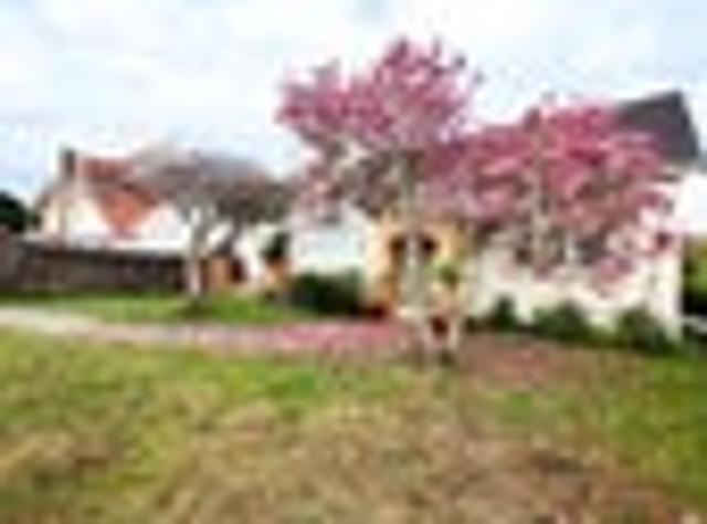 Epsom, 3 bedrooms, $1100 pw