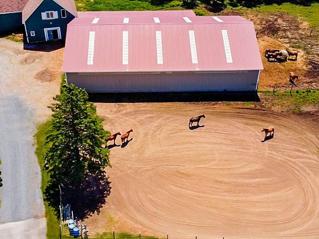 Equestrian Dream Property For Sale In Fredericton, Nb