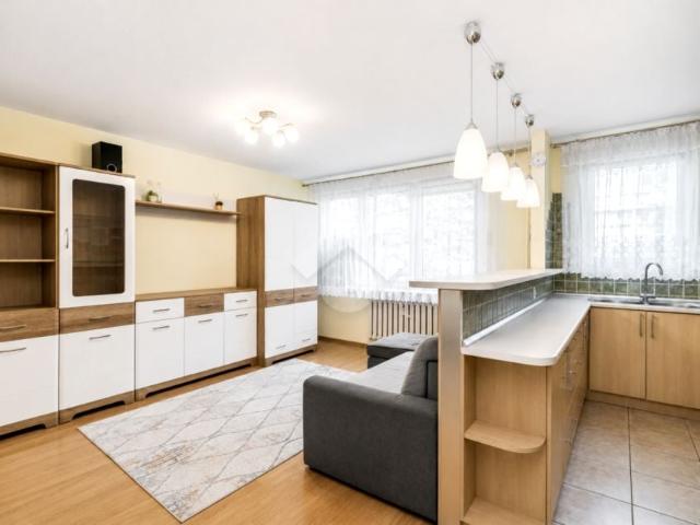 Erazma Jerzmanowskiego 47,80 m², Kraków