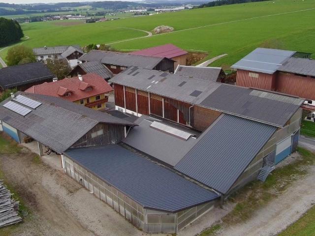 Erbhof sucht Käufer! – 20ha Betrieb im Salzburger Flachgau sucht Nachfolger