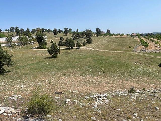 ERDEMLİNİN GÖZDE YAYLASI SARIKAYADA SATILIK KELEPİR TARLA