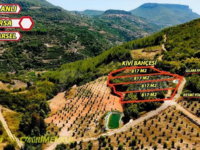 ERDEMLİ ARSLANLI 817 M2 SON 2 PARSEL VİLLA İMARLI KİVİ BAHÇESİ