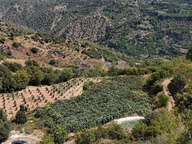 ERDEMLİ ASLANLI 817 M2 4 PARSEL AYRI SATILIK ARSA KİVİ BAHÇESİ