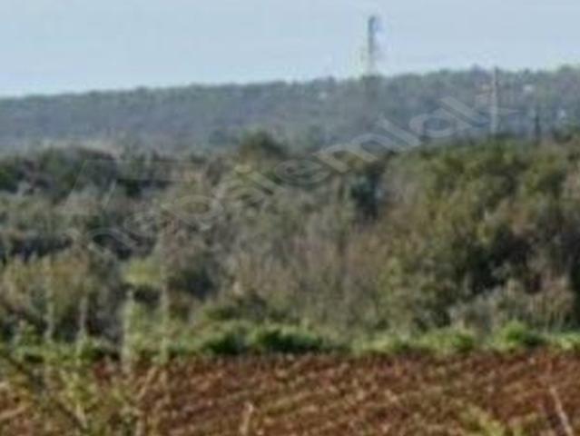 Erdemli Batı Sandalda Yatırımlık Satılık Tarla