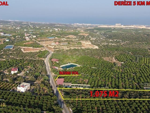 ERDEMLİ BATISANDAL DENİZ MANZARALI 1075 M2 SATILIK PARSEL