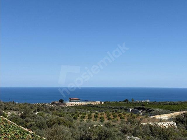 ERDEMLİ BATISANDAL 500 M2 FULL DENİZ MANZARALI SATILIK ARSA
