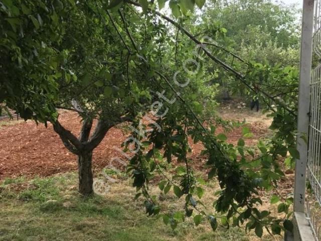 Erdemli Elbeyli Yaylasında Harika Ev Ve Arsası