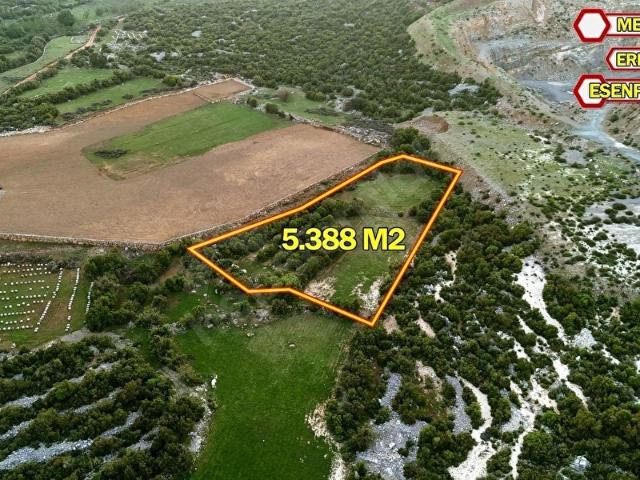 ERDEMLİ ESENPINA MERKEZ SATILIK 5388 M2 PARSEL