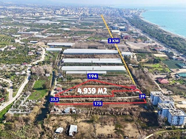ERDEMLİ KOYUNCU'DA 4.000 M2 İMAR SINIRINDA SATILIK ARSA