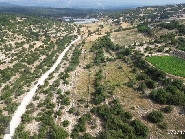 ERDEMLİ SARIKAYA 705 M2 DOĞAYLA İÇ İÇE SATILIK ARSA