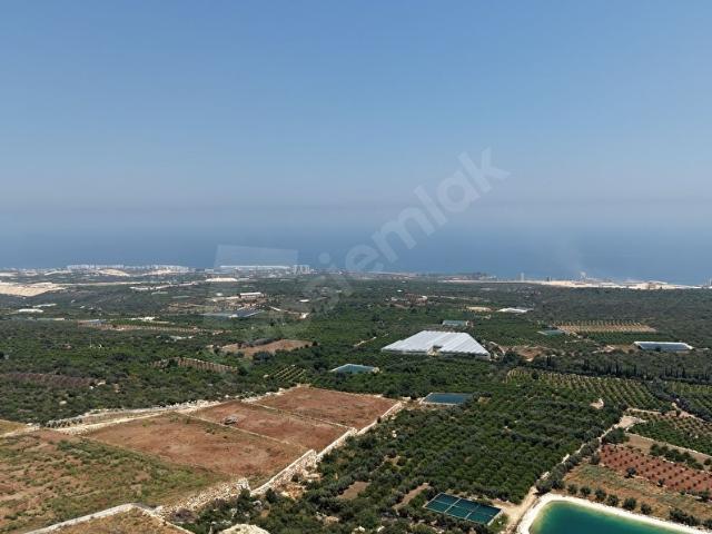 ERDEMLİ TIRTAR DA FULL DENİZ MANZARALİ 460 M2 ARSA