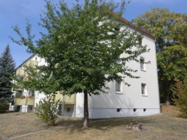 Erdgeschosswohnung in Riesa: 2 Raumwohnung mit Balkon in der Pausitzer Delle