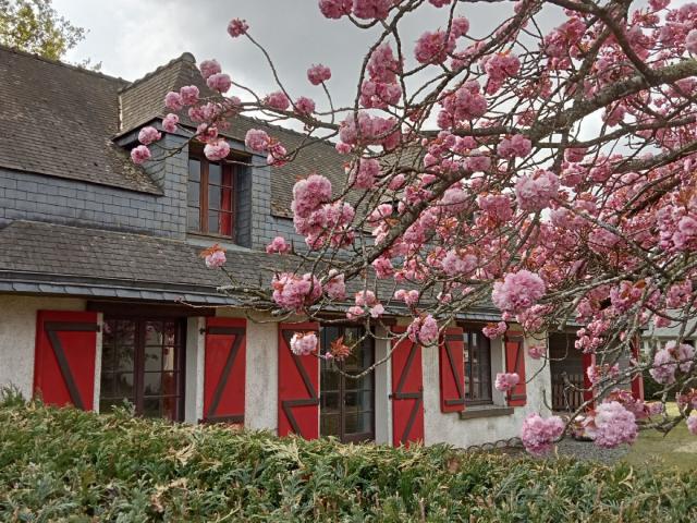 Éréac Vente Maison 22