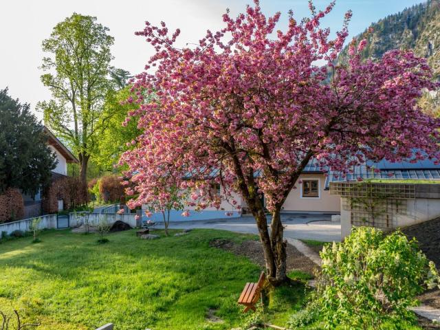 ERFOLGREICH VERMITTELT Top Vorsorgewohnung in St. Gilgen