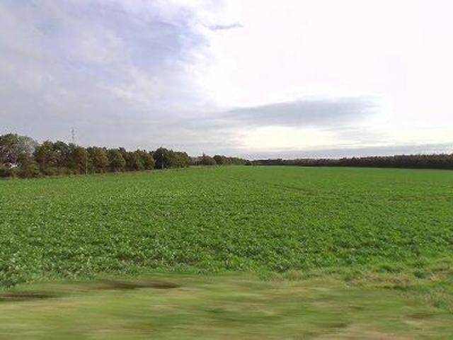 18721 m2 erhvervsgrund til salg i Tilst