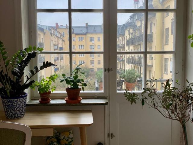 Erik Dahlbergsgatan, Malmö