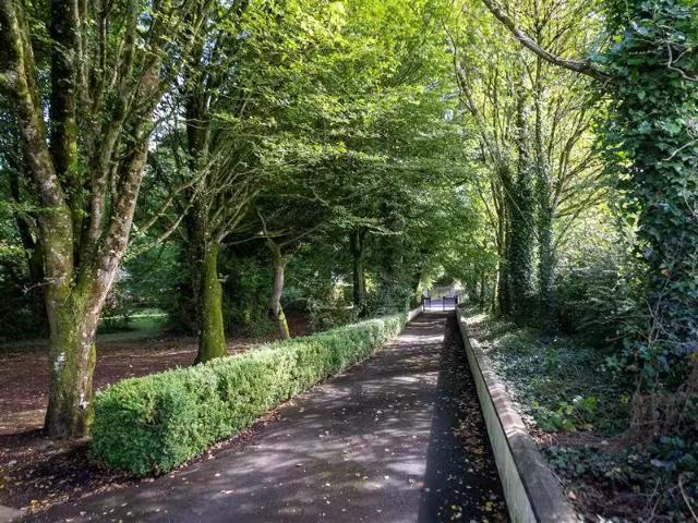 Erindale, Friarstown, Curragh, Kildare, R51 TA48