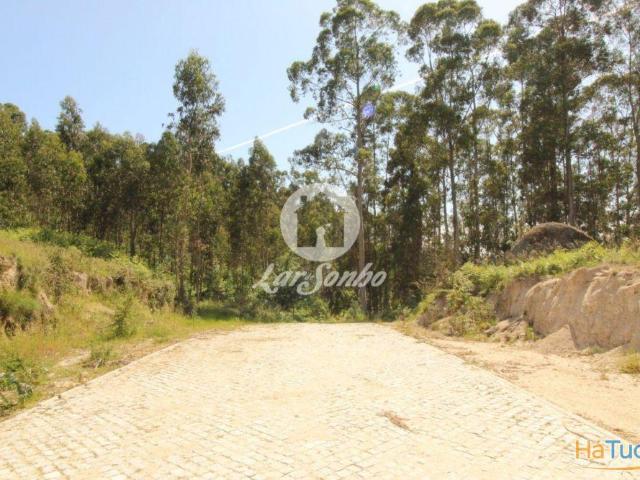 erreno com 5.000 m² em Arões S. Romão Fafe | 26083021433