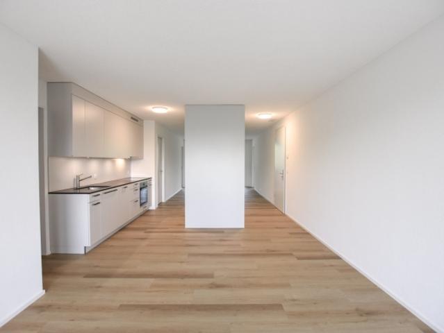 Erstbezug 4.5 Zimmerwohnung an der Emme