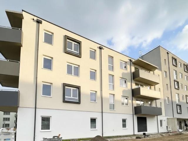 ERSTBEZUG „ein viertel grün“ in Wiener Neustadt