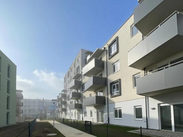 Erstbezug „ein viertel grün in Wiener Neustadt“ –