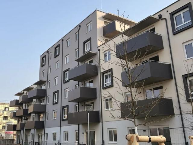ERSTBEZUG „ein viertel grün“ in Wiener Neustadt