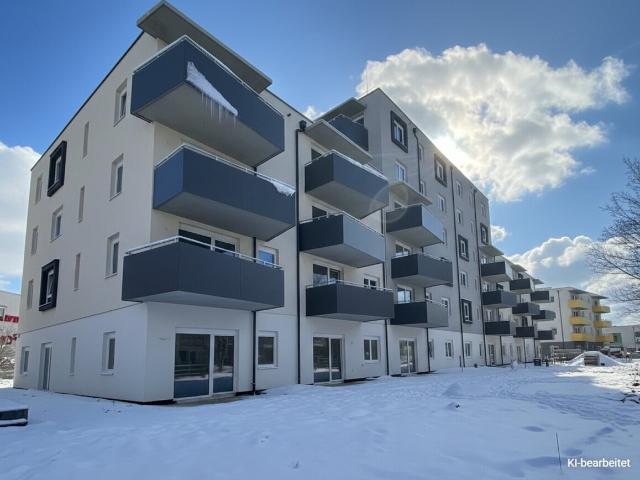 ERSTBEZUG „ein viertel grün“ in Wiener Neustadt