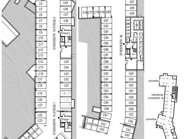 ERSTBEZUG „ein viertel grün“ in Wiener Neustadt