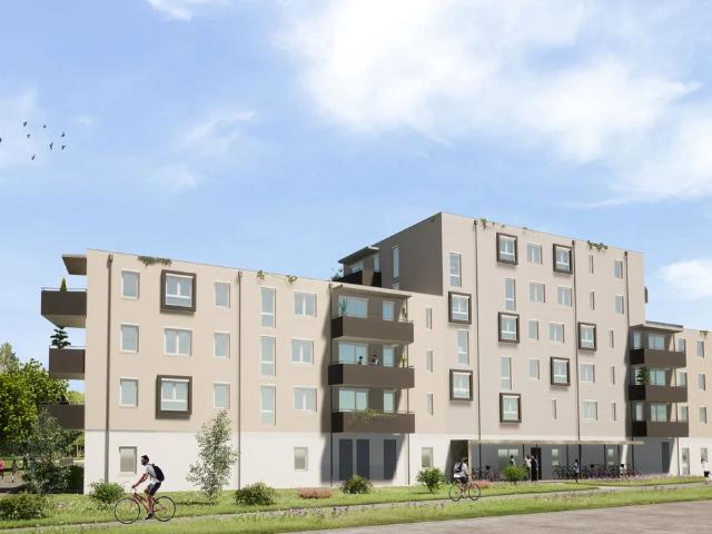 ERSTBEZUG „ein viertel grün“ in Wiener Neustadt moderne